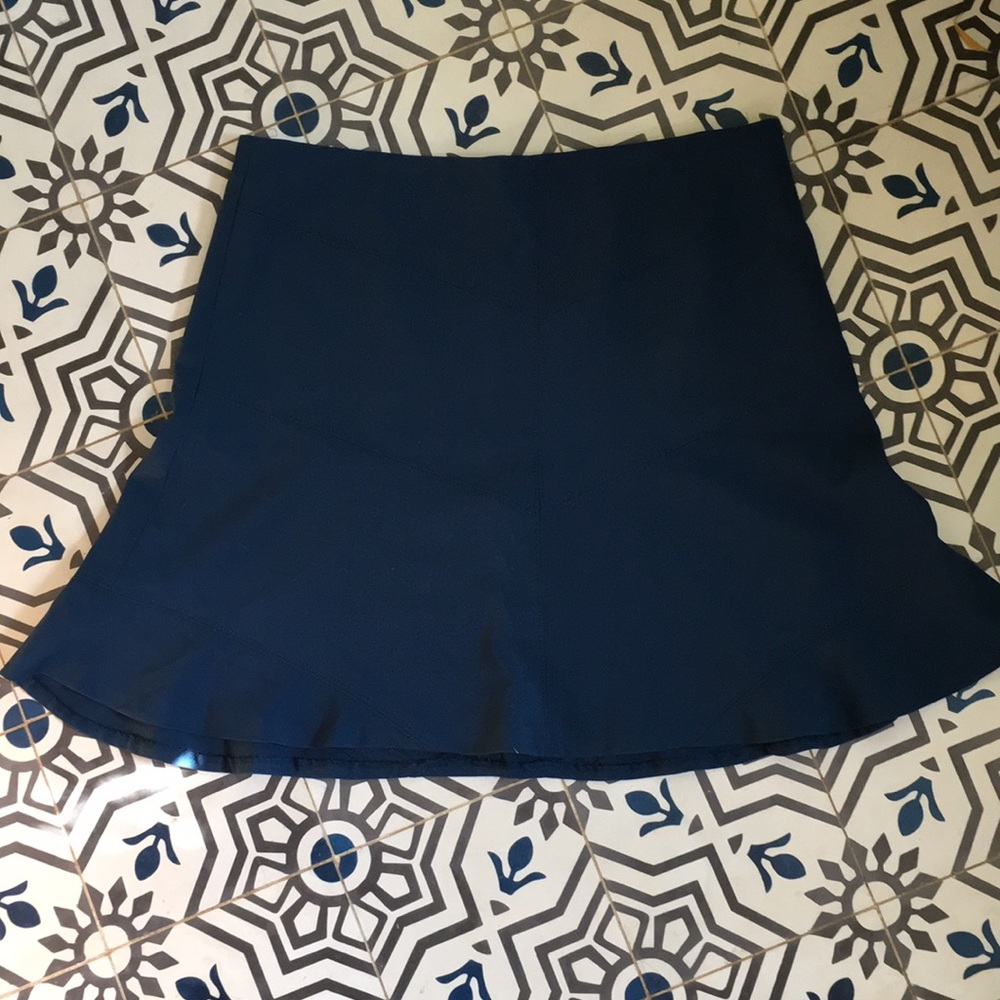 PERFECT Ann Taylor LOFT Skirt sz 16T
